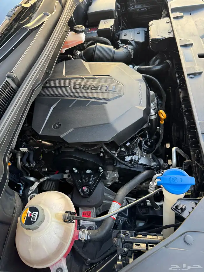 كرنفال 2021 ديزل 39