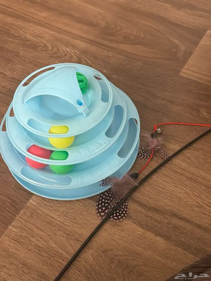 مستلزمات القطط 6