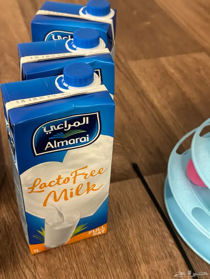 مستلزمات القطط 9