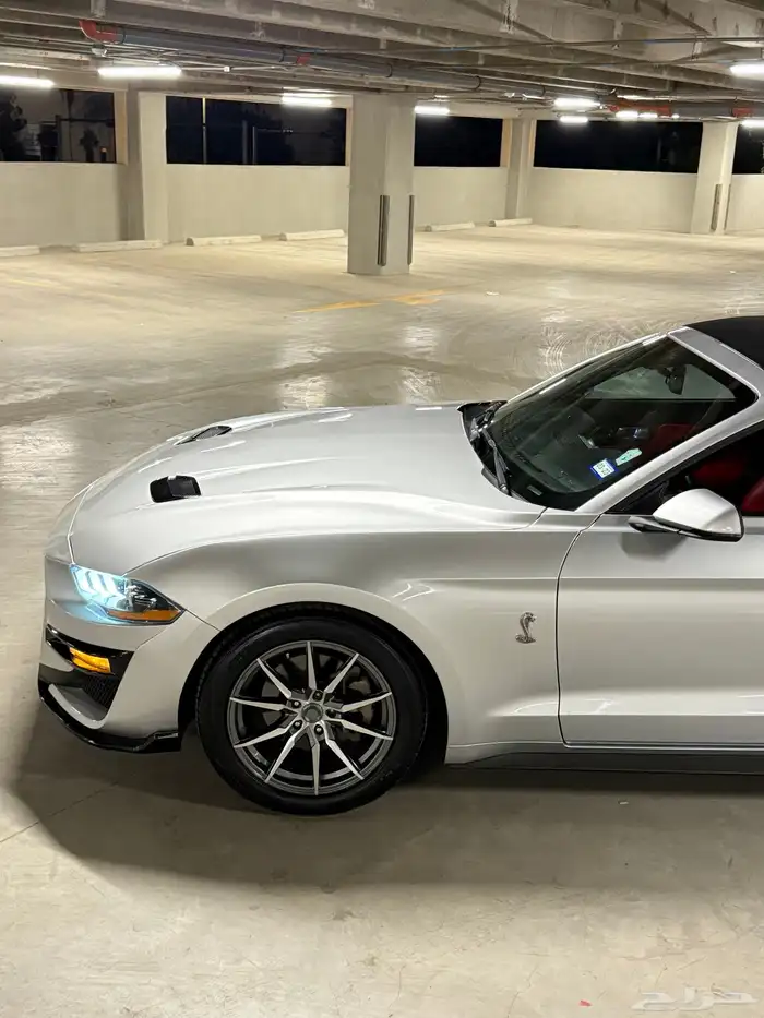 فورد موستنق إيكوبوست 2018 ( كشف ) 12