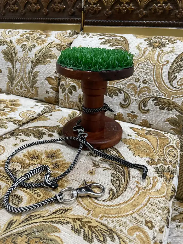 وكر حق باشق و بكه جديد و معه حق الدس 0