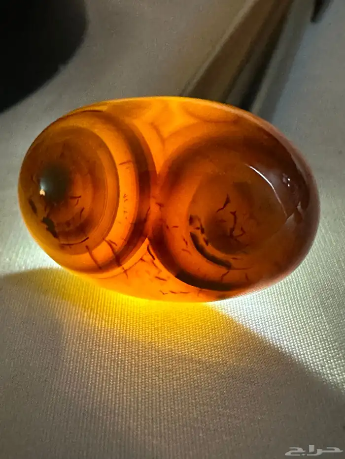 سليماني هندي زيتي طبيعي 3