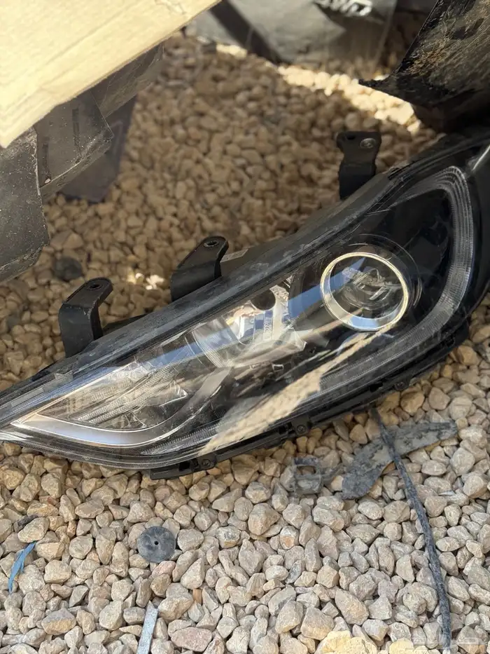 شمعاات النتراء 2017 0