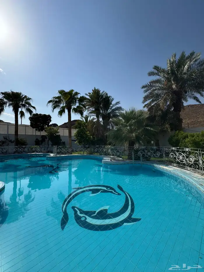 استراحة لاقينا هوم مسبح كبير جدا 37