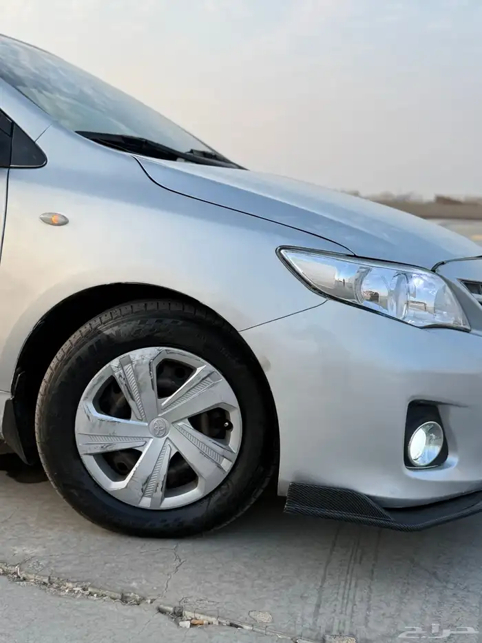 كوريلا 2013 18