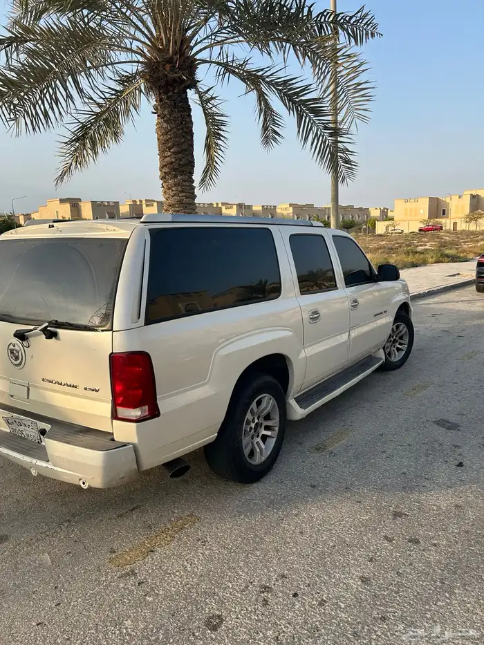 اسكاليد نضيف رش 5 قطع بدون معجون 3