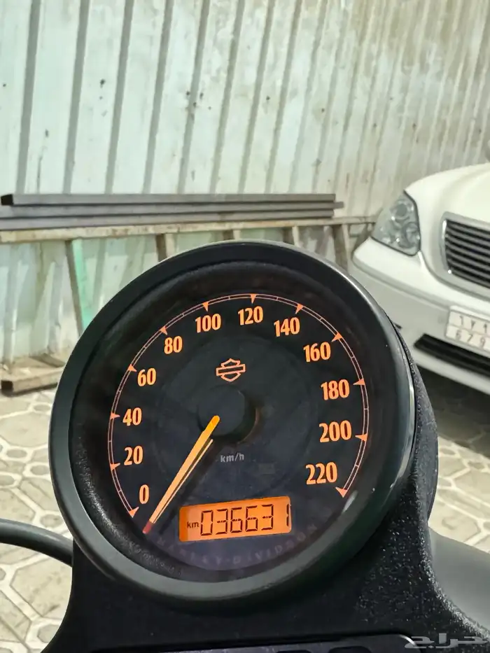 هارلي سبوستر ( تم البيع ) 11