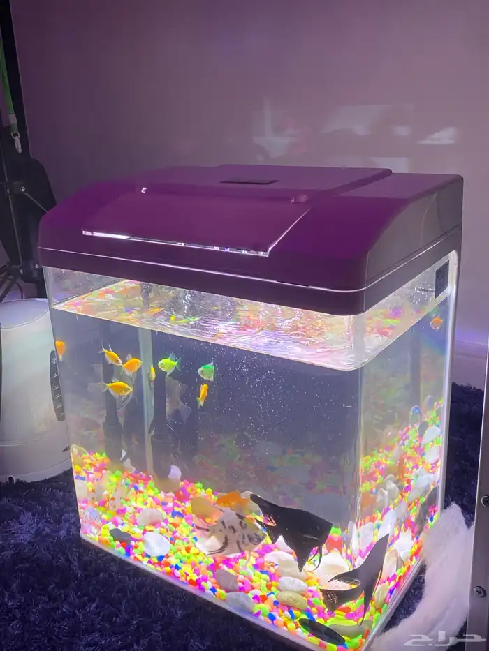 حوض سمك جميل جدا 2