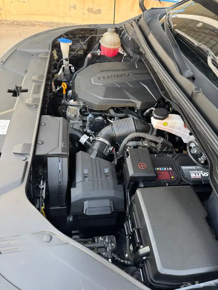 كرنفال 2021 ديزل 35