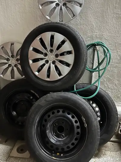 جنوط اكورد index