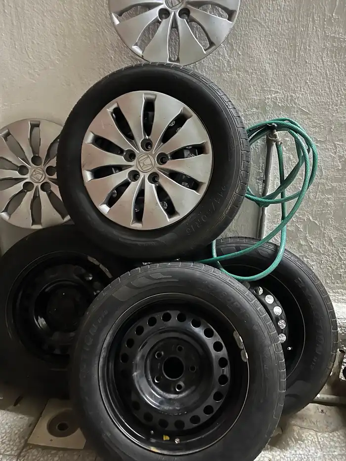 جنوط اكورد 4