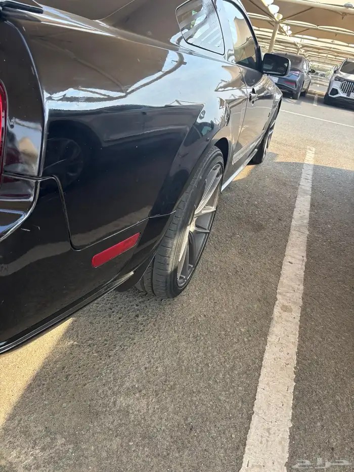 جنوط موستنج niche M117 MISANO 9