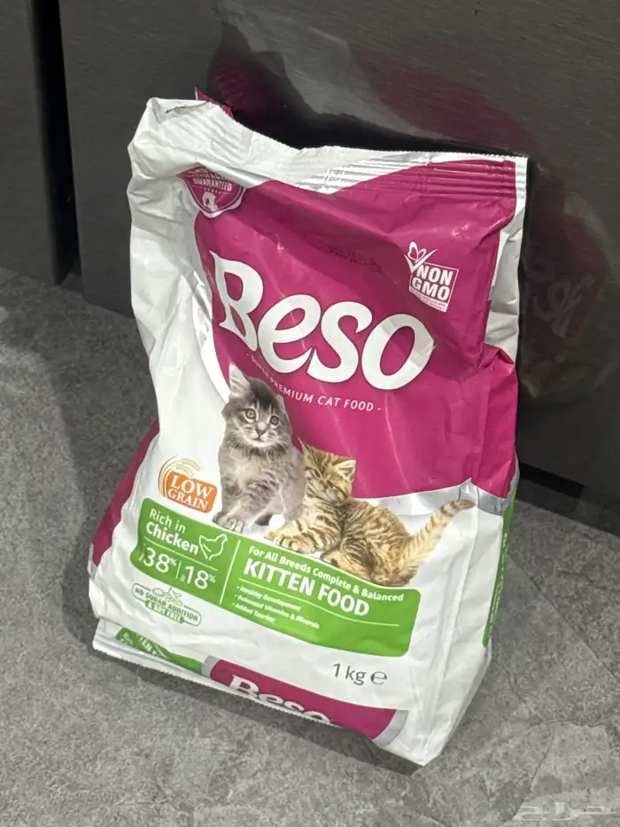 مستلزمات قطط 6