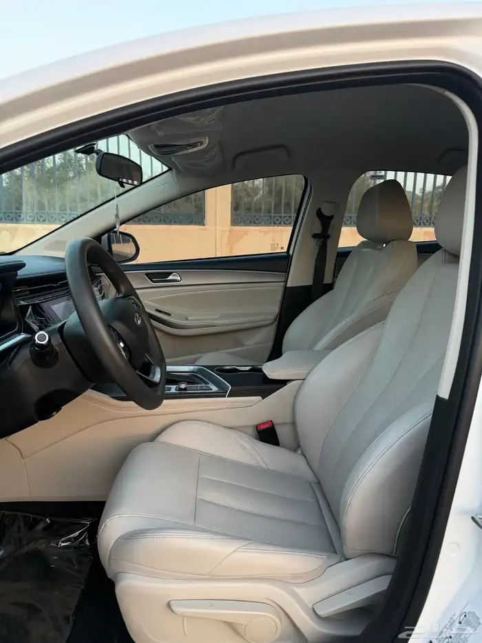 شيري اريزو 6 2024 شبه الاصفار 11