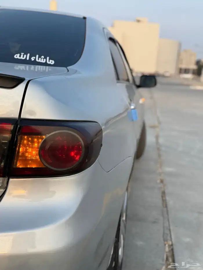 كوريلا 2013 16