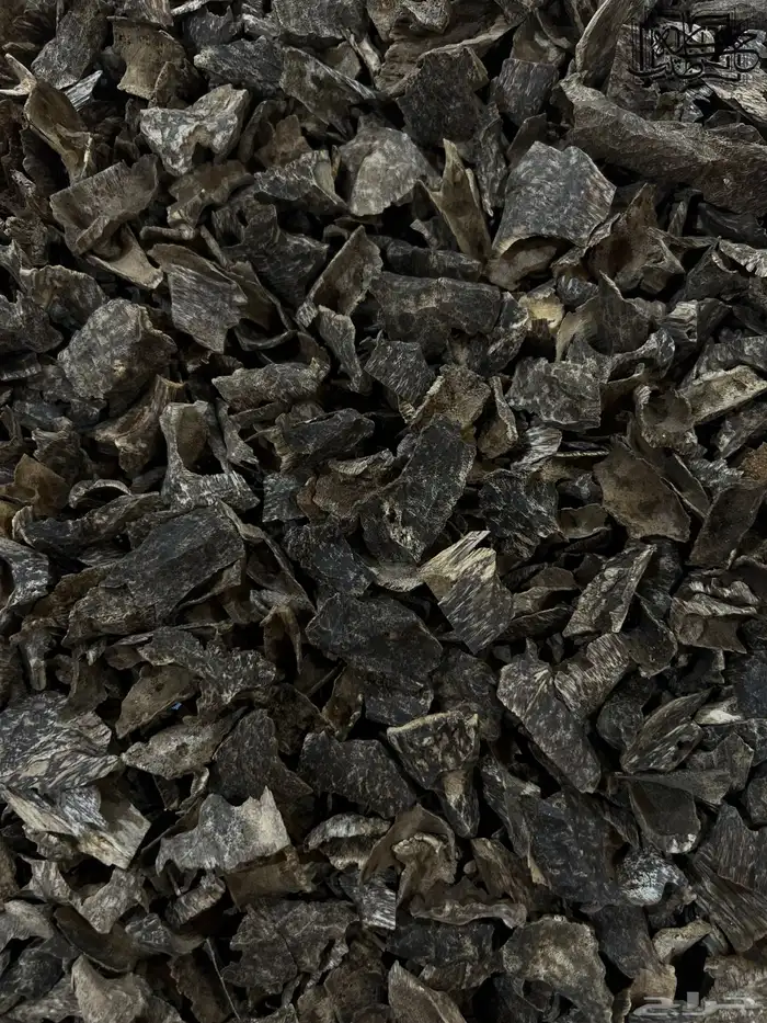 عود فيتنامي دقه زوايا دبل سوبر طبيعي جمله 0