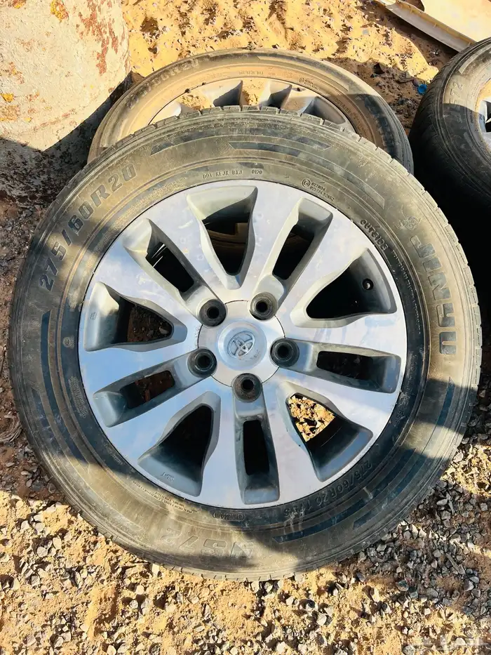 جنوط سكويا مقاس 20 1