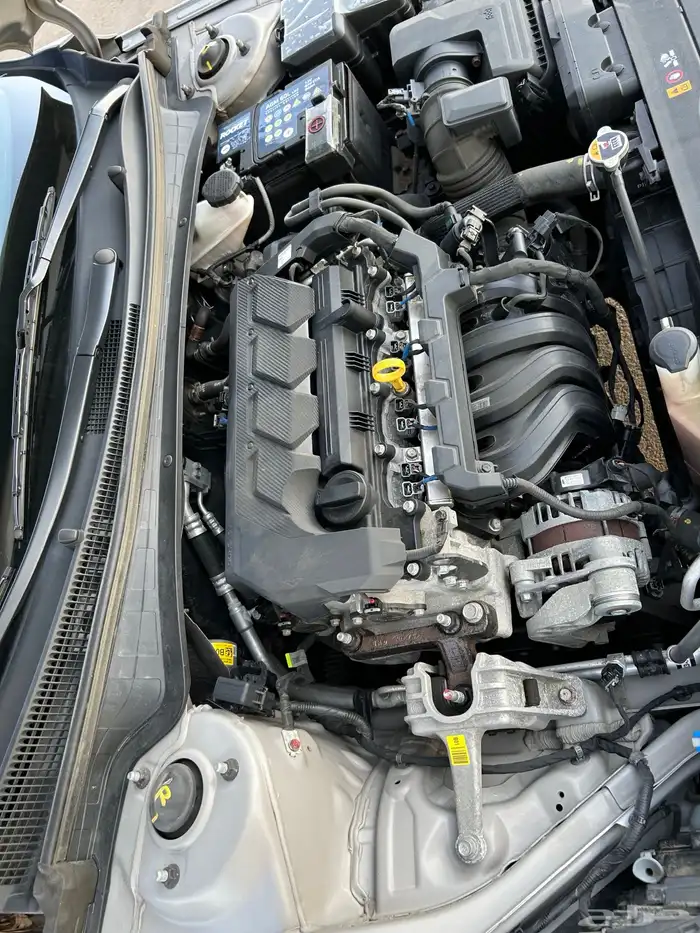 افانتي 2021 بطاقه جمركيه وارد كوريا بدي وكاله 27