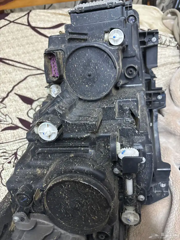 نور جيلي ام جراند 1