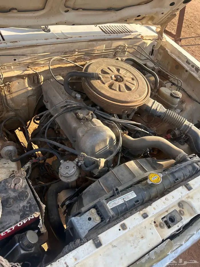 ددسن بدي وكاله متحركات وكاله مشقط 5