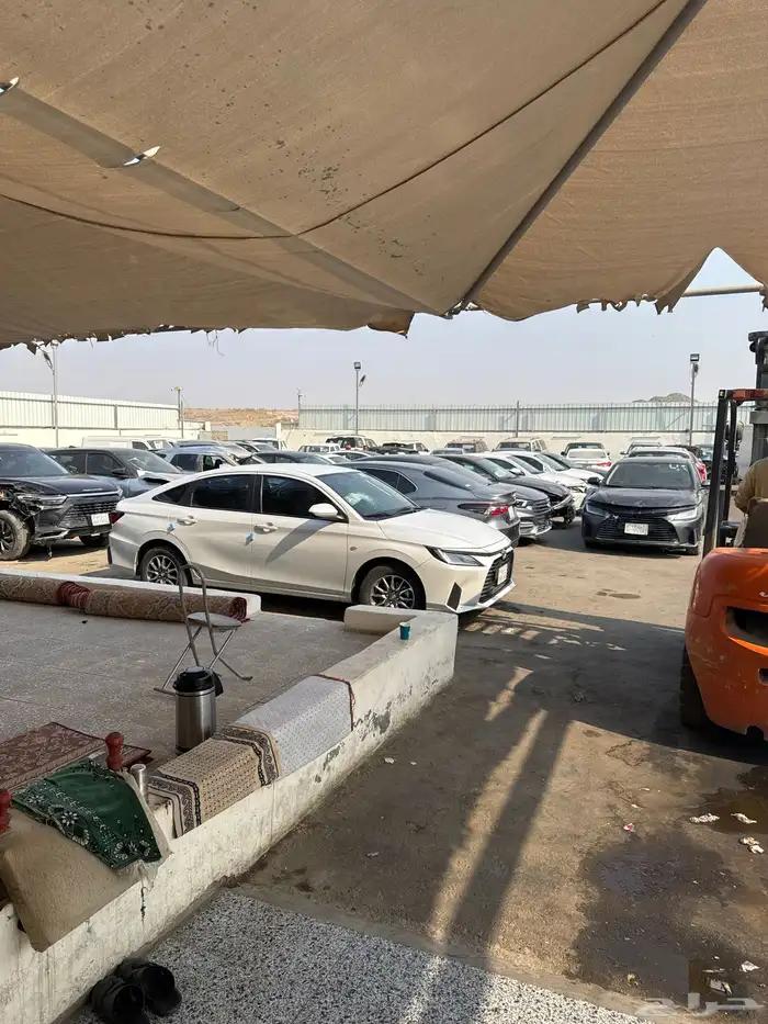 سيارات مصدومه 55