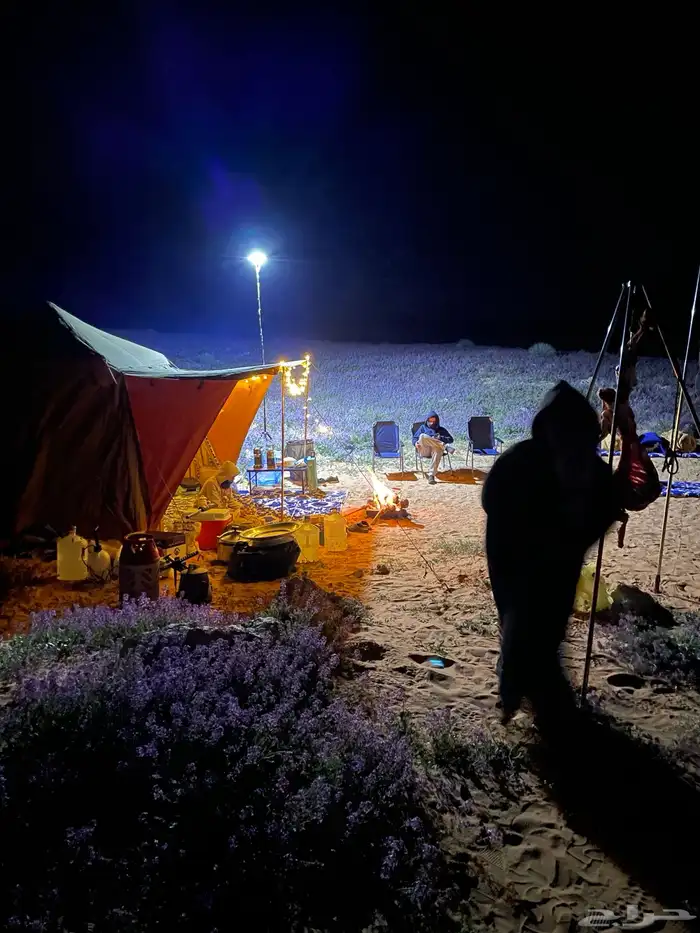 خيمة القاضي البيرق خاص 2