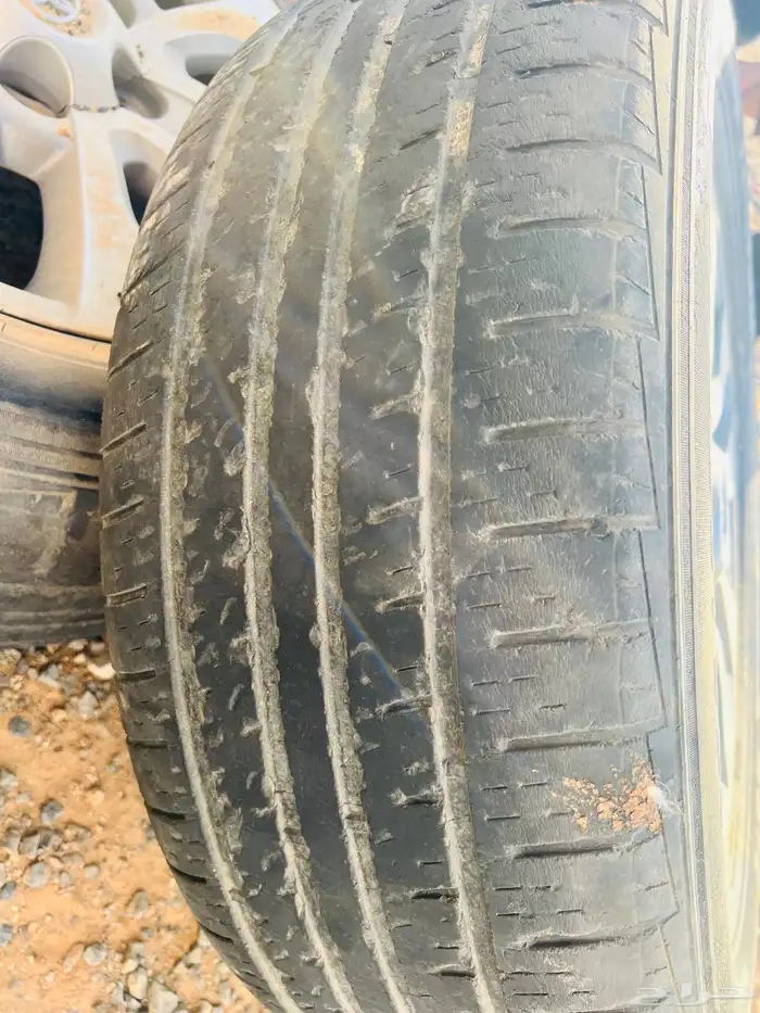 جنوط سكويا مقاس 20 2