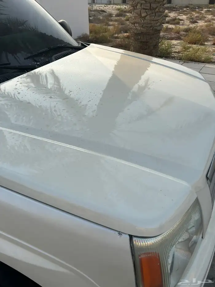 اسكاليد نضيف رش 5 قطع بدون معجون 20