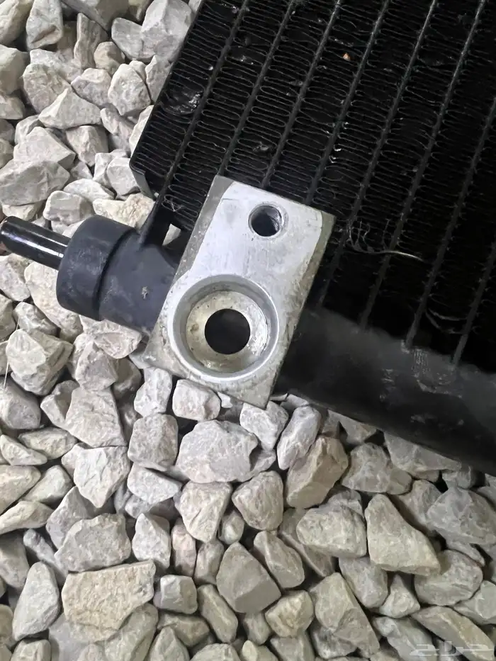 رديترات اكور 2017 وكاله شرط 10