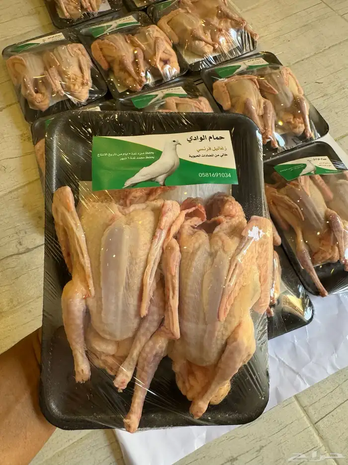 زغاليل حمام فرنسي 0