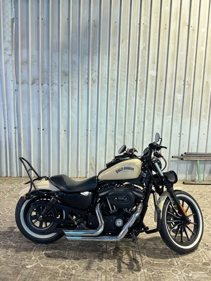 هارلي سبوستر ( تم البيع ) 6