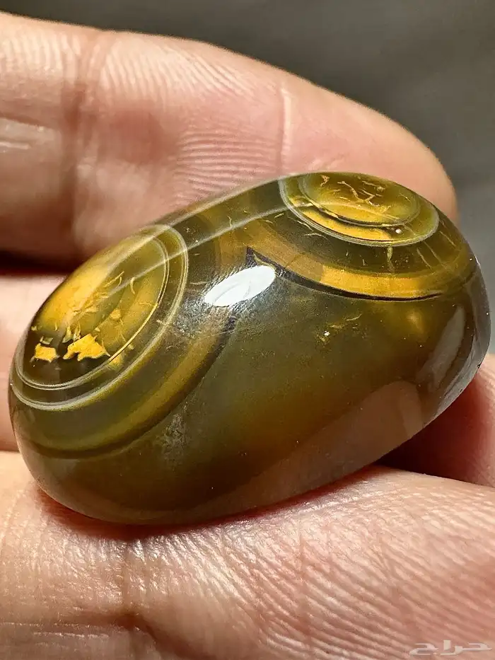 سليماني هندي زيتي طبيعي 1