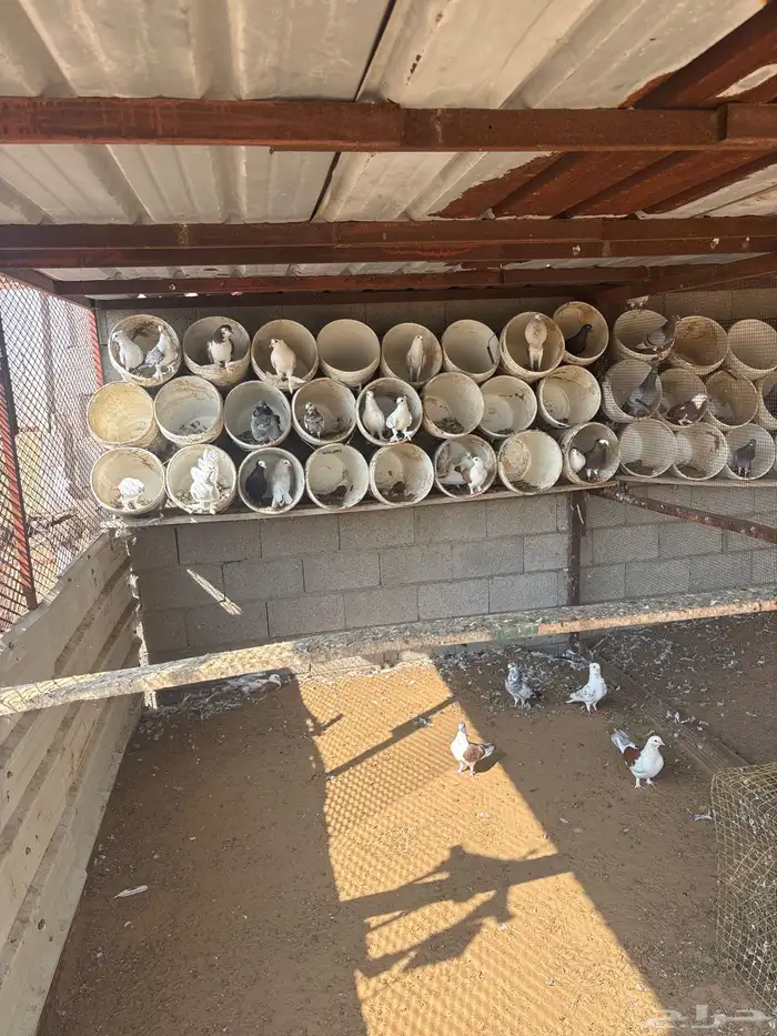 حمام خارجي تواصل 0