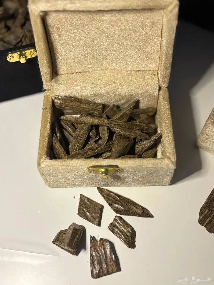 عود مميز - ضمان ذهبي - توصيل مجانا 3