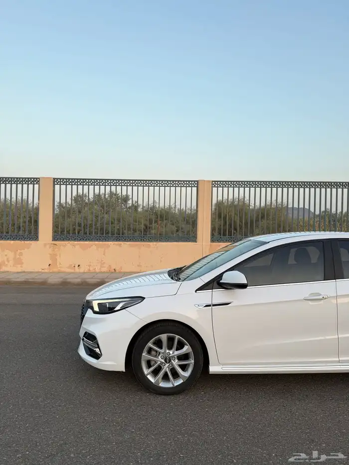 شيري اريزو 6 2024 شبه الاصفار 9