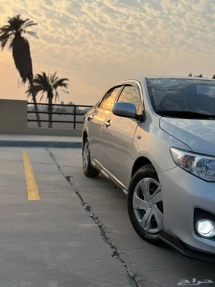 كوريلا 2013 15