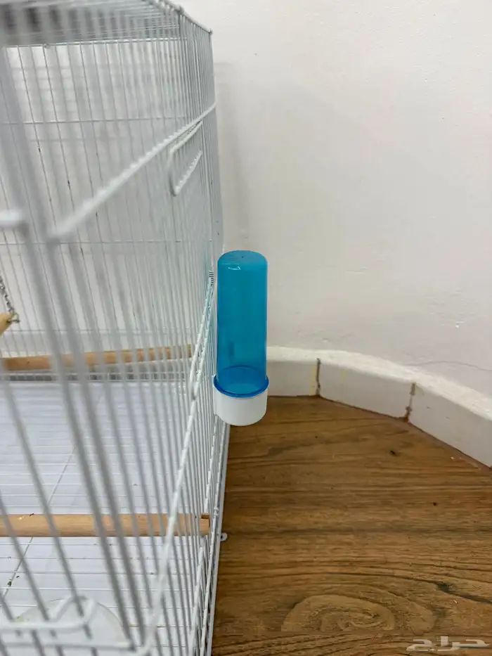 قفص كبير نظيف 2