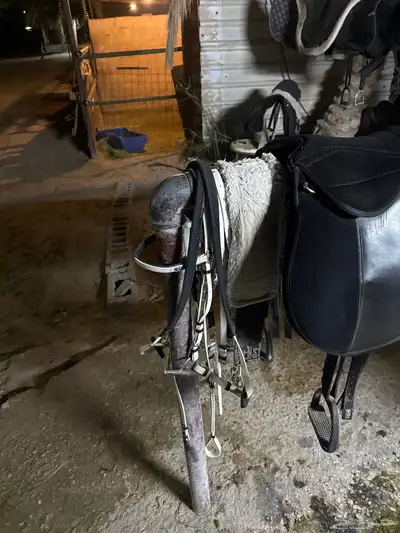 سرج ستيتس index