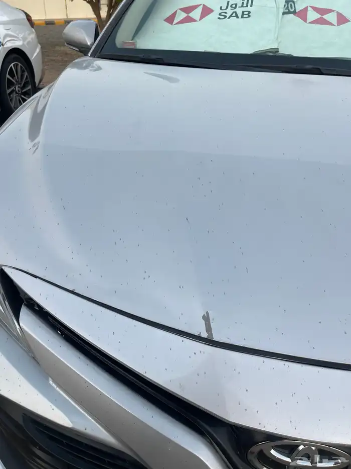 كامري 2019للبيع 8