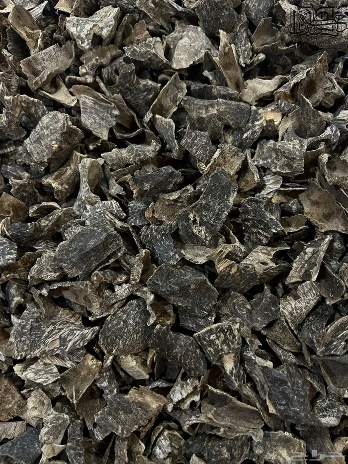 عود فيتنامي دقه زوايا دبل سوبر طبيعي جمله 1