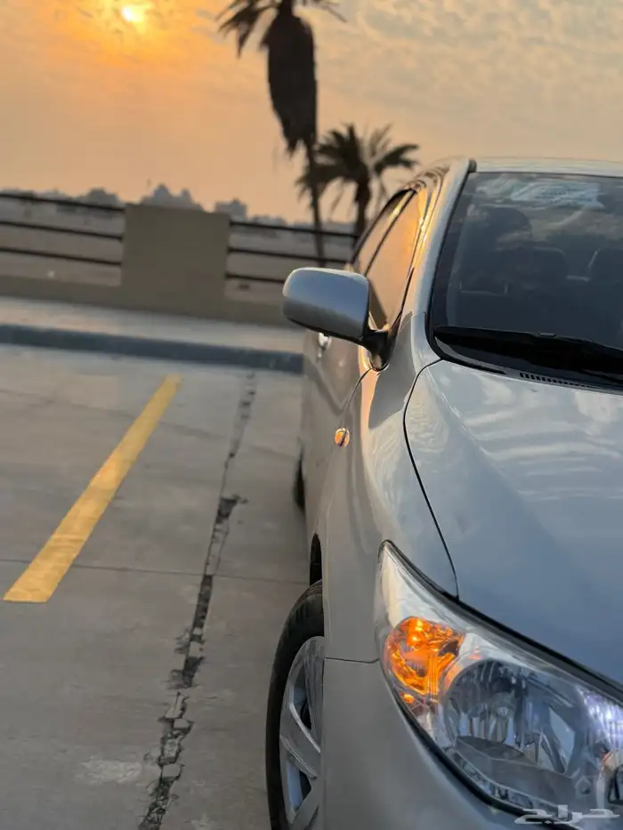 كوريلا 2013 13