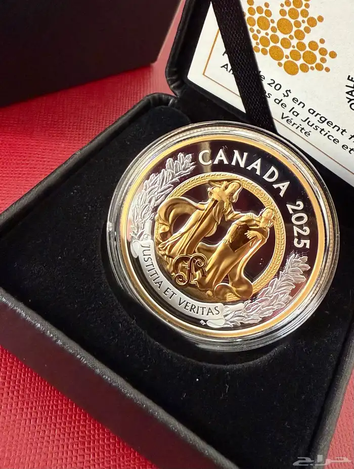 عملة معدنية فضة نقية 1 أونصة إصدار محدود 1