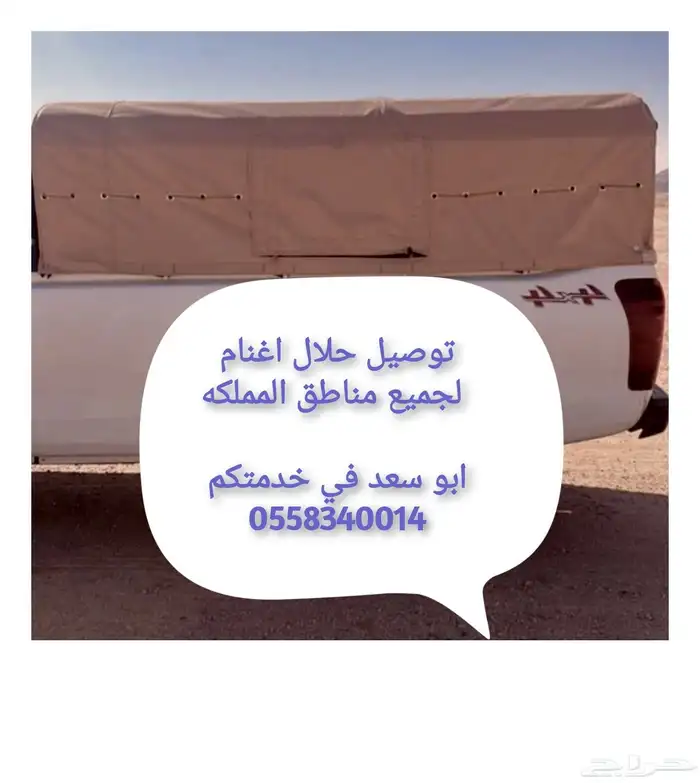 توصيل حلال لشرقيه الرياض سلوى 0