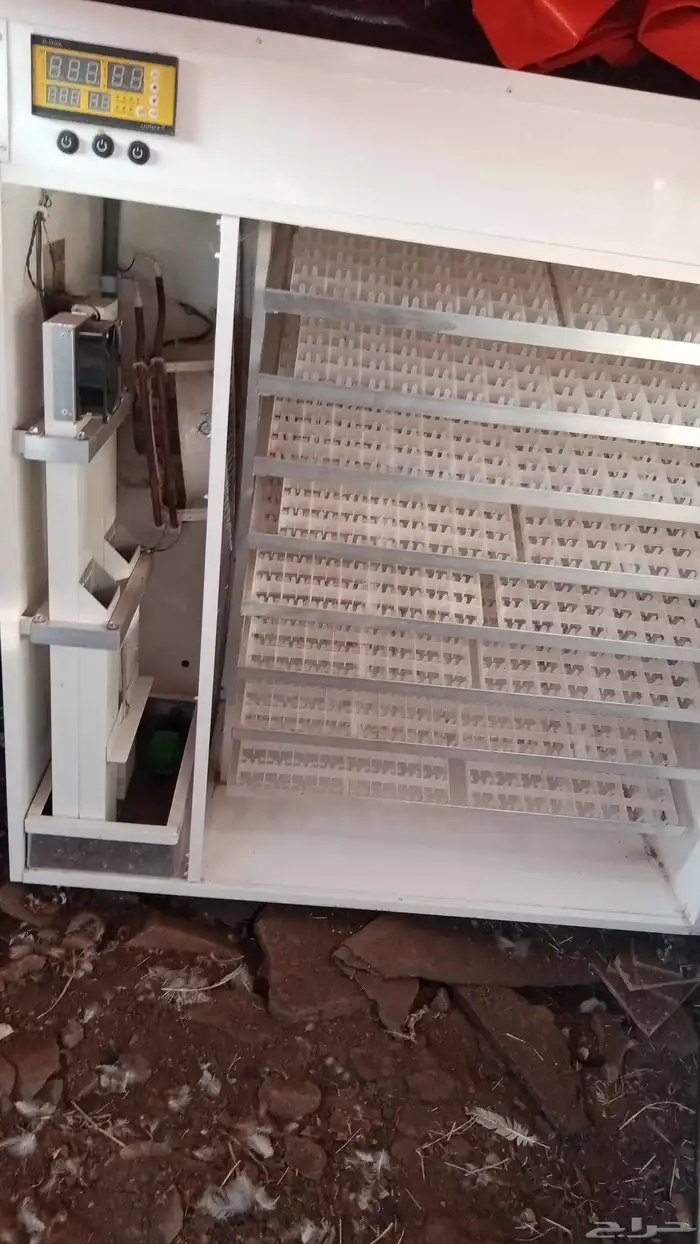 فقاسة مستهلة بيض 1408 3