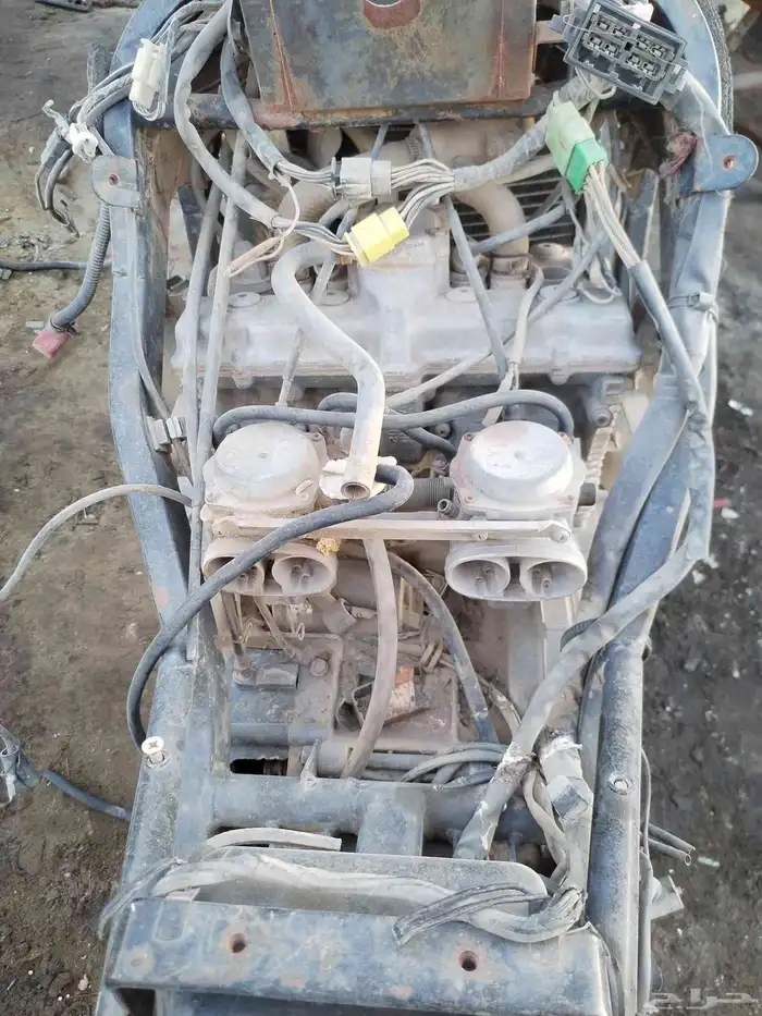 دباب ريس حجم 1100 2