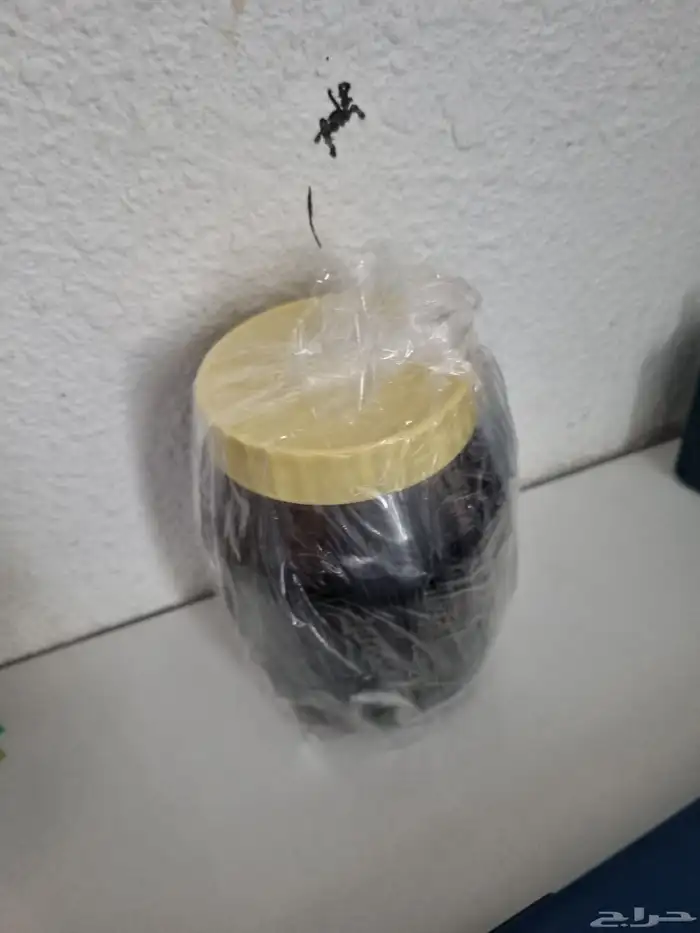 كيلو عسل طلحه طبيعي 100 100 ويوجد أيضا عسل سمره 100 ((100)) 0