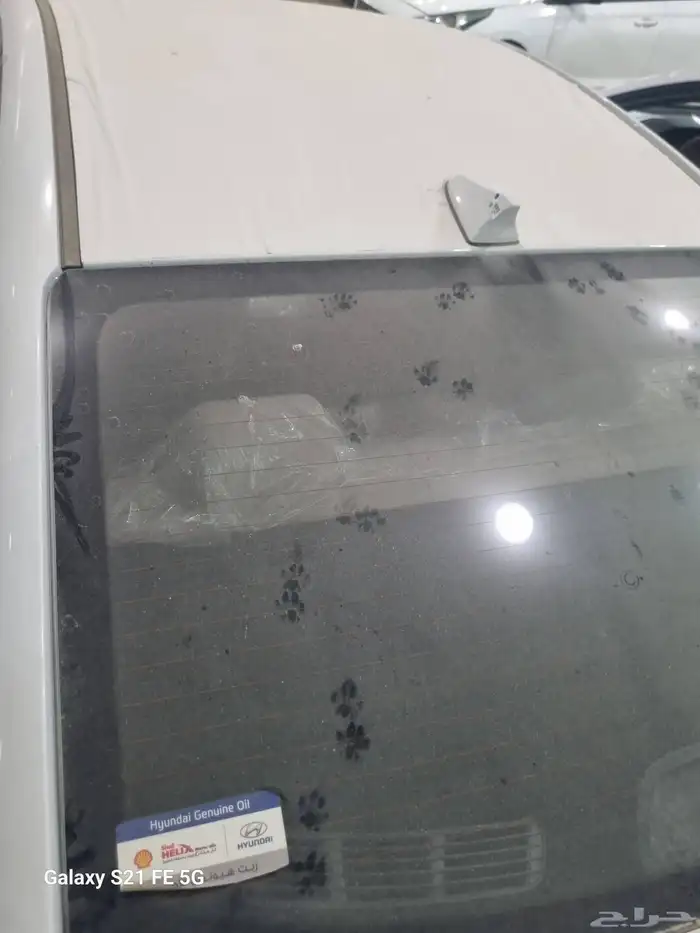 النترا 2020 اصفار لوحات 4