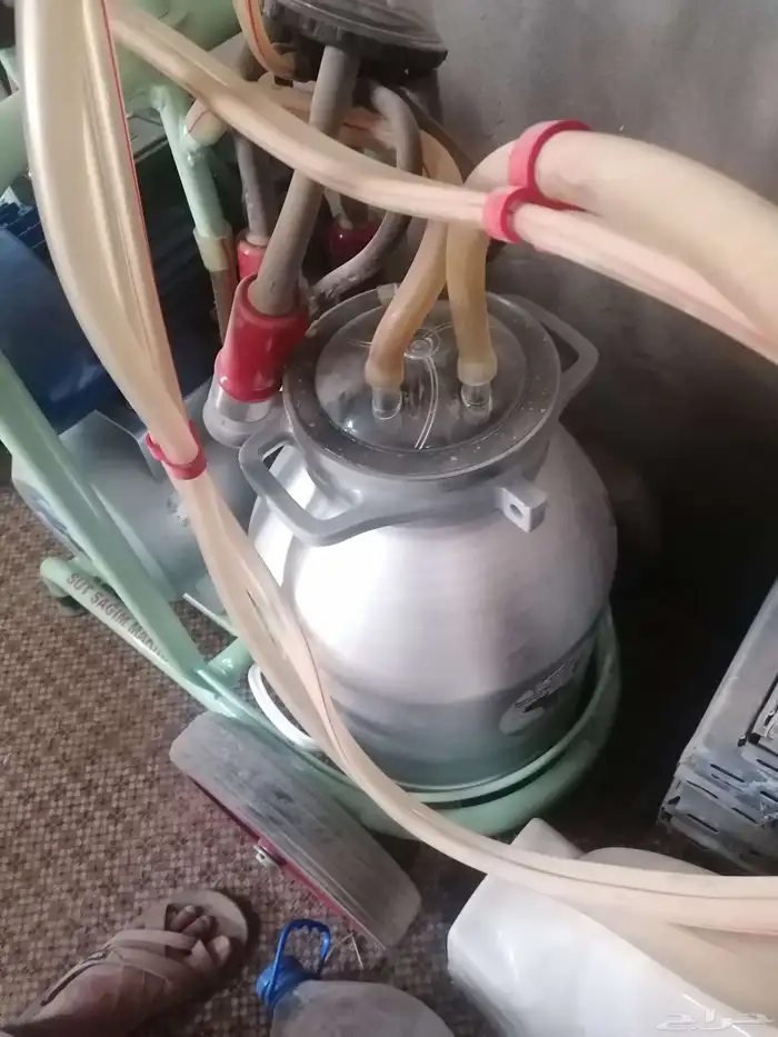 حلابه أبقار من شركه EMIRSAN التركيه 5