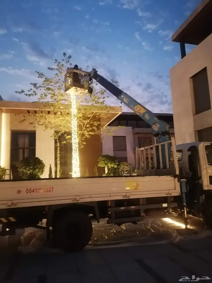 دينا ونش سطة رافعات ديناكرين سلة باسكت للايجار 0