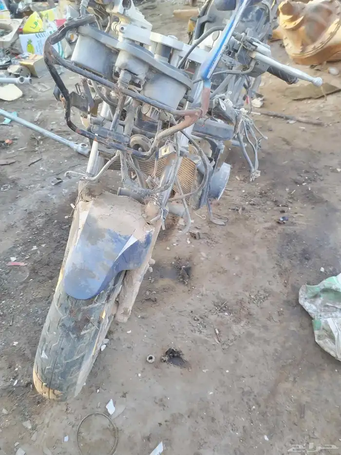 دباب ريس حجم 1100 7